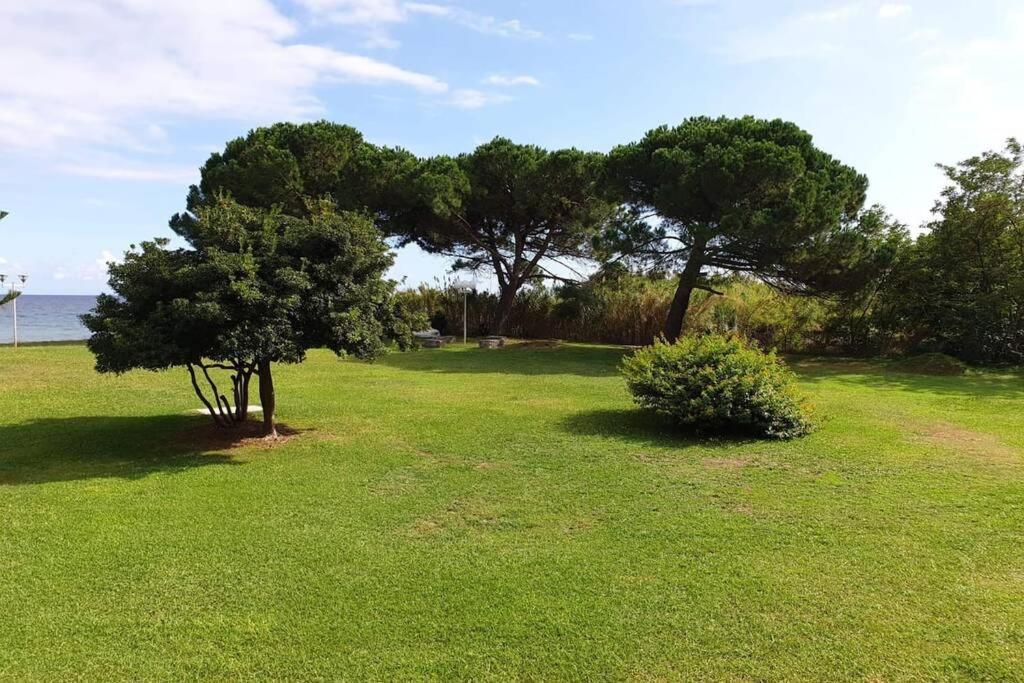 Studio bord de mer - Piscine - Plage San-Nicolao Exterior foto