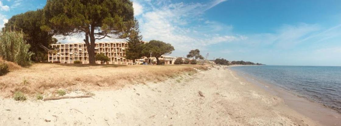 Studio bord de mer - Piscine - Plage San-Nicolao Exterior foto